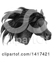 Poster, Art Print Of Sketched And Color Filled Black Horse Head