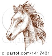 Clipart Of A Sketched Brown Horse Head Royalty Free Vector Illustration