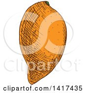 Clipart Of A Sketched Mango Royalty Free Vector Illustration
