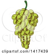Clipart Of A Sketched Bunch Of Green Grapes Royalty Free Vector Illustration