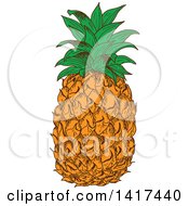 Clipart Of A Sketched Pineapple Royalty Free Vector Illustration by Vector Tradition SM