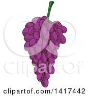 Clipart Of A Sketched Bunch Of Purple Grapes Royalty Free Vector Illustration