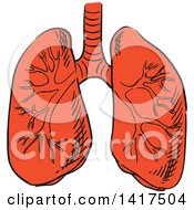 Clipart Of A Pair Of Lungs Royalty Free Vector Illustration