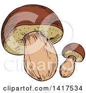 Clipart Of A Sketched Mushroom Royalty Free Vector Illustration