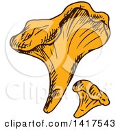 Poster, Art Print Of Sketched Mushroom