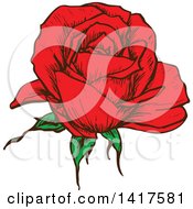 Clipart Of A Sketched Red Rose Flower Royalty Free Vector Illustration