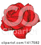 Poster, Art Print Of Sketched Red Rose Flower