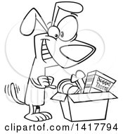 Poster, Art Print Of Cartoon Black And White Dog Wagging His Tail And Looking In A Surprise Box