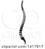 Poster, Art Print Of Black And White Human Spine