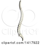 Clipart Of A Human Spine Royalty Free Vector Illustration by Lal Perera