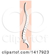 Poster, Art Print Of Human Spine On Pink