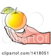 Poster, Art Print Of Caucasian Hand Holding An Orange