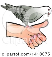 Poster, Art Print Of Pigeon Eating From A Hand