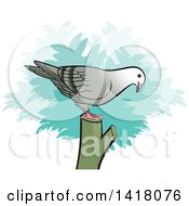Poster, Art Print Of Pigeon On A Stump
