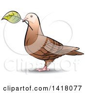 Poster, Art Print Of Pigeon With A Leaf