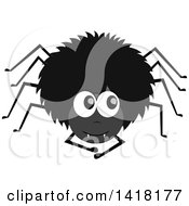 Poster, Art Print Of Black Hairy Spider Looking Up To The Side