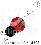 Poster, Art Print Of View Above Of A Ladybug And A Swirl Trail