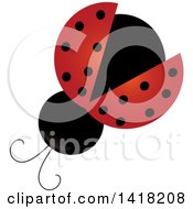 Poster, Art Print Of View Above Of A Ladybug