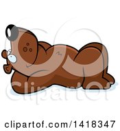 Poster, Art Print Of Relaxed Bear Resting On His Back And Stargazing