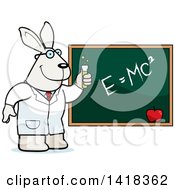 Poster, Art Print Of Professor Or Scientist Rabbit By A Chalkboard