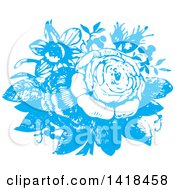 Poster, Art Print Of Sketched Blue Roses