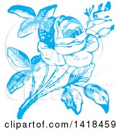 Poster, Art Print Of Sketched Blue Rose