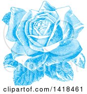 Clipart Of A Sketched Blue Rose In Full Bloom Royalty Free Vector Illustration by BestVector