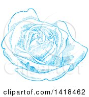 Poster, Art Print Of Sketched Blue Rose In Full Bloom