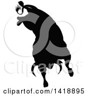 Clipart Of A Silhouetted Black Bull Bucking Royalty Free Vector Illustration