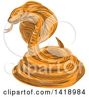 Sketched Orange Coiled Cobra Viper Snake