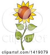Sunflower On A Curvy Stalk