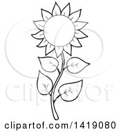 Poster, Art Print Of Black And White Lineart Sunflower