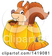 Poster, Art Print Of Happy Squirrel In A Pumpkin