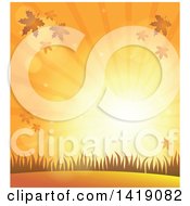 Poster, Art Print Of Background Of An Orange Autumn Sunset With Falling Leaves And Grass