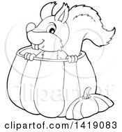 Poster, Art Print Of Black And White Lineart Happy Squirrel In A Pumpkin