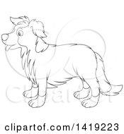 Black And White Lineart Border Collie Dog In Profile