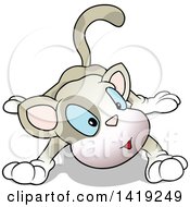 Poster, Art Print Of Cartoon Curious Cat With Big Blue Eyes