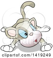 Clipart Of A Cartoon Curious Cat With Big Blue Eyes Royalty Free Vector Illustration