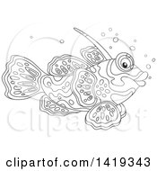 Poster, Art Print Of Black And White Lineart Mandarin Dragonet Marine Fish