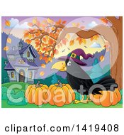 Poster, Art Print Of Halloween Crow Bird Wearing A Witch Hat By Pumpkins Under An Autumn Tree With A Haunted House In The Background