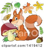 Poster, Art Print Of Happy Squirrel With A Mushroom With Autumn Leaves