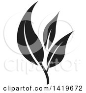 Clipart Of Black And White Plant Leaves Royalty Free Vector Illustration by cidepix