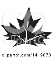Poster, Art Print Of Black And White Maple Leaf