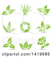 Poster, Art Print Of Plant Leaves A Flower And Recycle Arrows In Green With Shadows