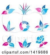 Poster, Art Print Of Plant Leaves A Flower And Recycle Arrows In Blue And Pink With Shadows