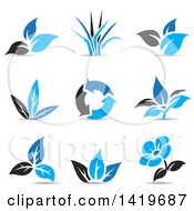 Poster, Art Print Of Plant Leaves A Flower And Recycle Arrows In Black And Blue With Shadows