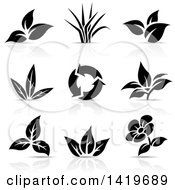 Poster, Art Print Of Plant Leaves A Flower And Recycle Arrows In Black And White With Shadows