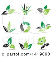 Poster, Art Print Of Black And Green Plant Leaf And Eco Designs