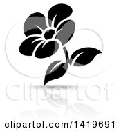 Poster, Art Print Of Black And White Flower With A Shadow