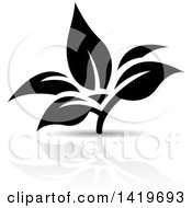 Poster, Art Print Of Black And White Plant Leaves With A Reflection